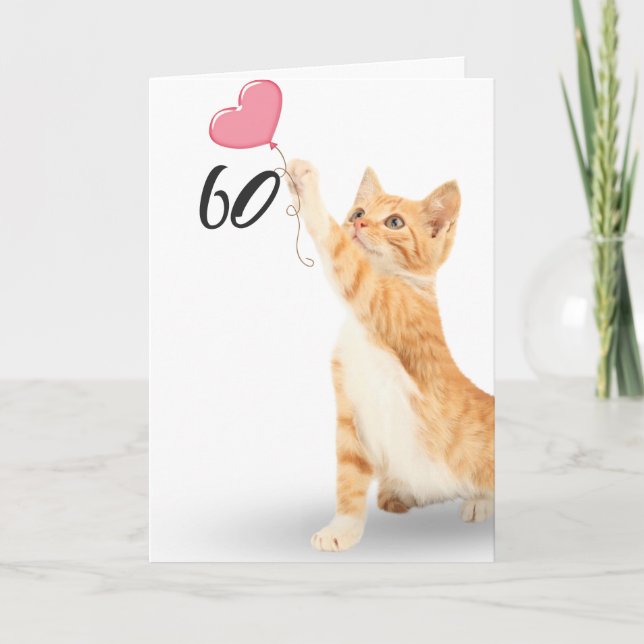 60th birthday tabby cat card (Front)