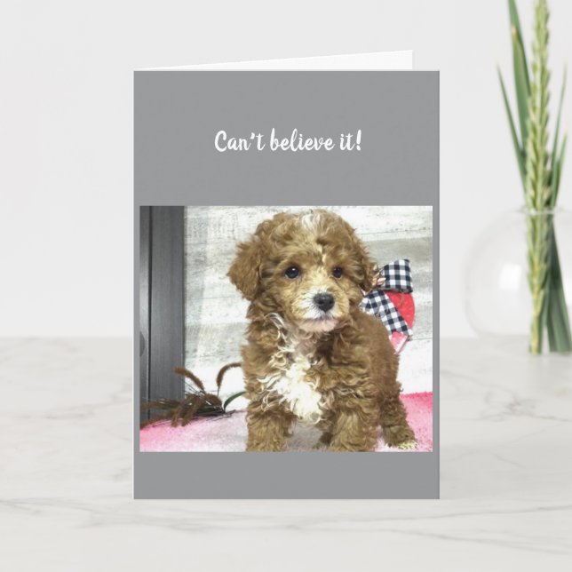 **60th** BIRTHDAY WISHES FROM A CUTE PUPPY Card (Front)