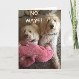 **60th BIRTHDAY** WISHES from SOME CUTE PUPS Card