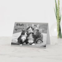 *60th BIRTHDAY WISHES* WHAT'S UP? YOUR AGE! Card