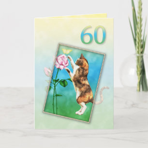 60th Birthday with a playful cat Card