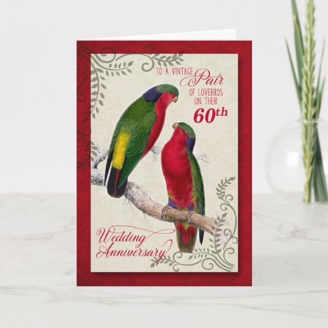 60th Wedding Anniversary Vintage Lorikeet Parrots Card (Front)