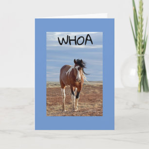 **60th & YOU ARE FABULOUS AS USUAL Card