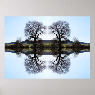 62914 Fractal Trees Poster