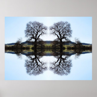 62914 Fractal Trees Poster