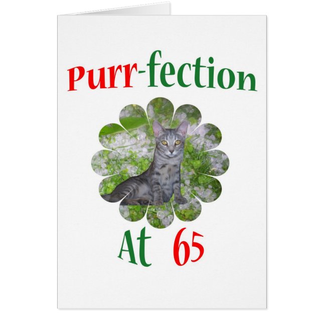 65 Purr-fection (Front)