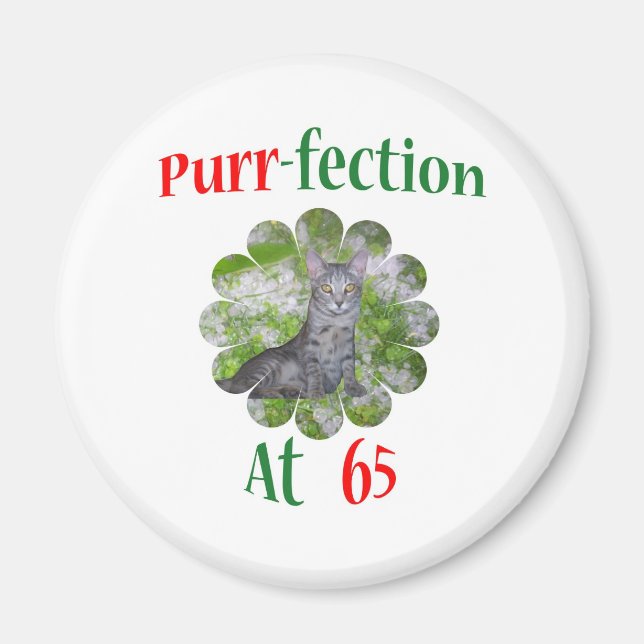 65 Purr-fection Magnet (Front)