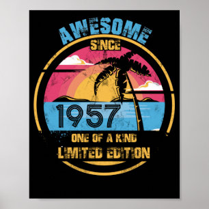 65 Year Old Awesome Since 1957 65th Birthday Poster