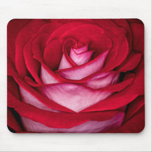 6621-Red, White and Pink Rose Mouse Mat