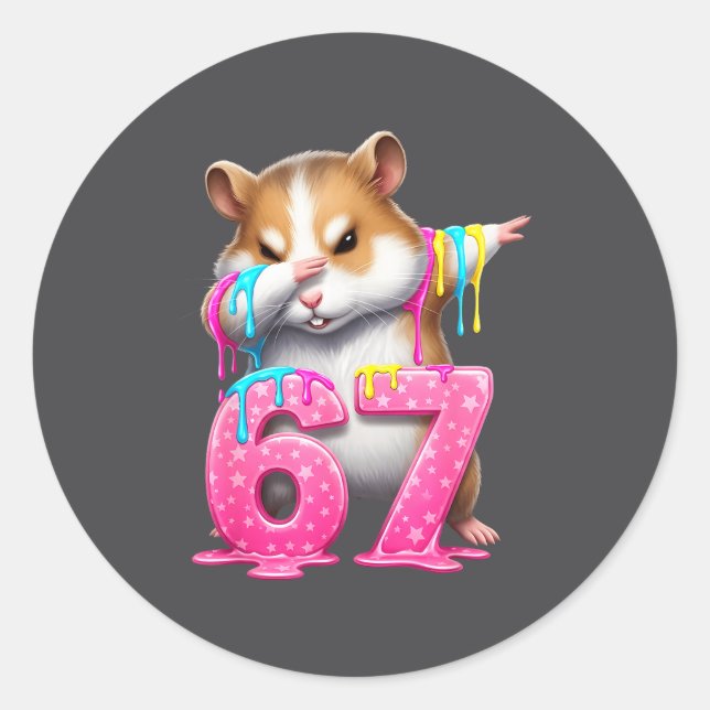 67 Animals Funny 67 Brainrot Youth Kids Hamster 67 Classic Round Sticker (Front)