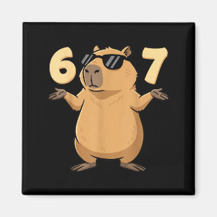67 Capybara Meme 6 7 Aesthetic For Kids Young Adul Magnet