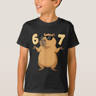 67 Capybara Meme 6 7 Aesthetic For Kids Young Adul T-Shirt