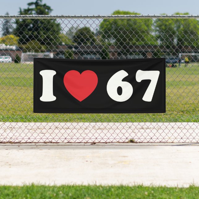 67 Funny Meme I Love Six Seven 67th Birthday Banner (Insitu)
