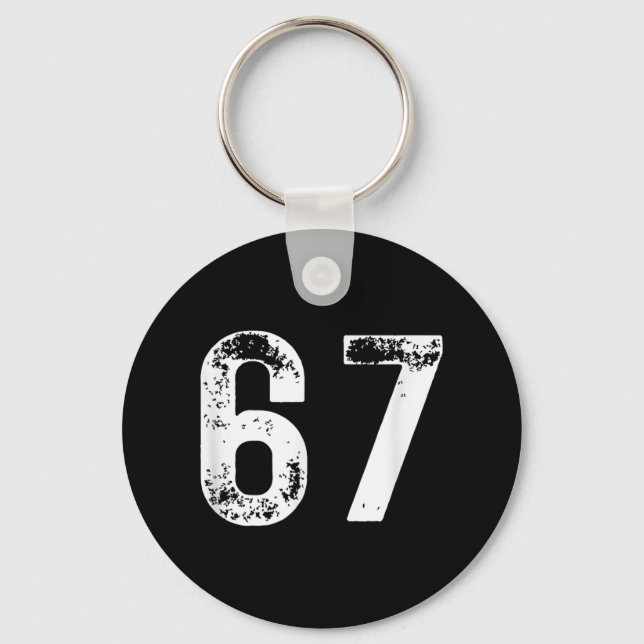 67 - Funny Meme  Key Ring (Front)