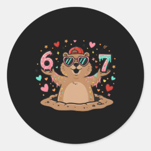 67 Funny Six Seven Respect The Groundhog Woodchuck Classic Round Sticker