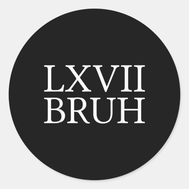 67 History Meme Six Seven Bruh Funny History Teach Classic Round Sticker (Front)