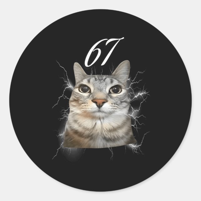 67 Meme Cat Howling At Moon Brainrot Funny 6 7  Classic Round Sticker (Front)