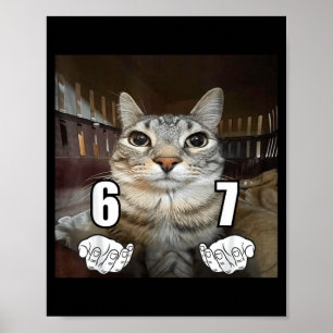 67 Meme Funny Cat Six Seven Meme 6 7 Poster
