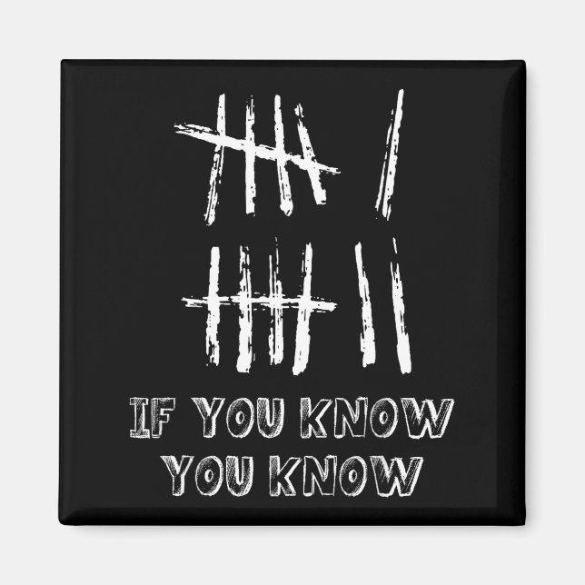 67 Tally Mark Funny If You Know You Know 6 7 Six S Magnet (Front)