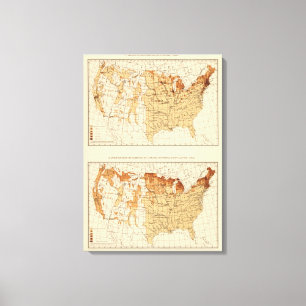 68 Natives Canada 1900 Canvas Print