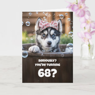 68th Birthday Cute and Funny Husky Dog Bubbles Card