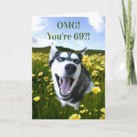69th Birthday Super Cute Husky You Look Great