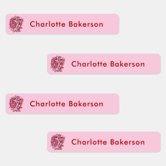 6 7 Six Seven Meme Trend Girls Waterproof Labels