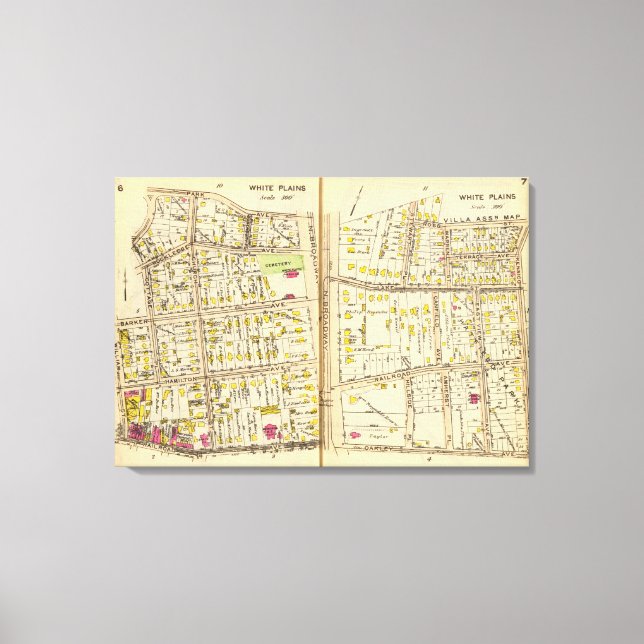 6-7 White Plains Canvas Print (Front)