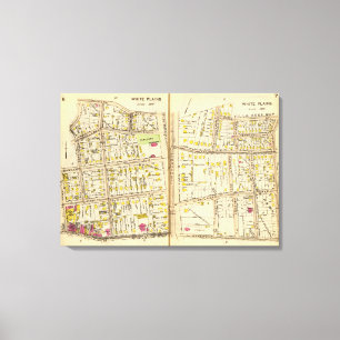 6-7 White Plains Canvas Print