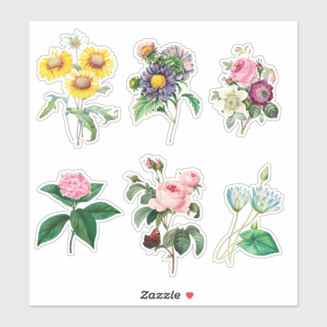 6 Beautiful Flowers for Scrapbooking Sticker (Sheet)