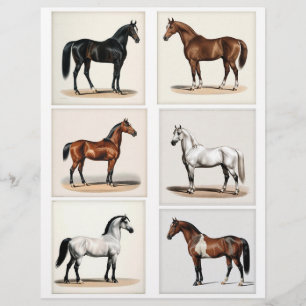 6 Beautiful Horse Illustrations for Papercrafting