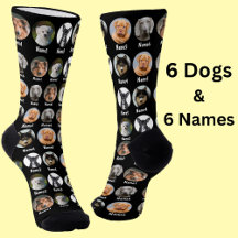 6 Dogs, 6 Names, Dog Photo - Personalised Black 