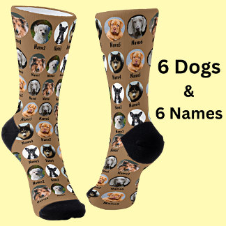 6 Dogs, 6 Names, Dog Photo - Personalised Brown Socks
