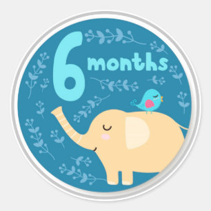 6 Month Baby Milestone Classic Round Sticker