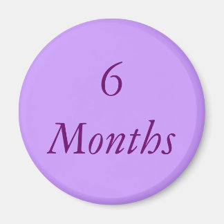 6 Month Chip Magnet