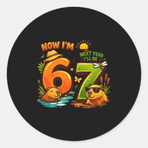 6 next year be 7 capybara 67 birthday boys girl classic round sticker