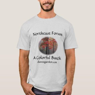 #6 Northeast forum: pixie's pic - colourful bunch T-Shirt
