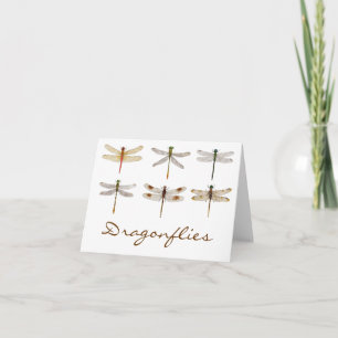 6 Orderly Dragonflies Card