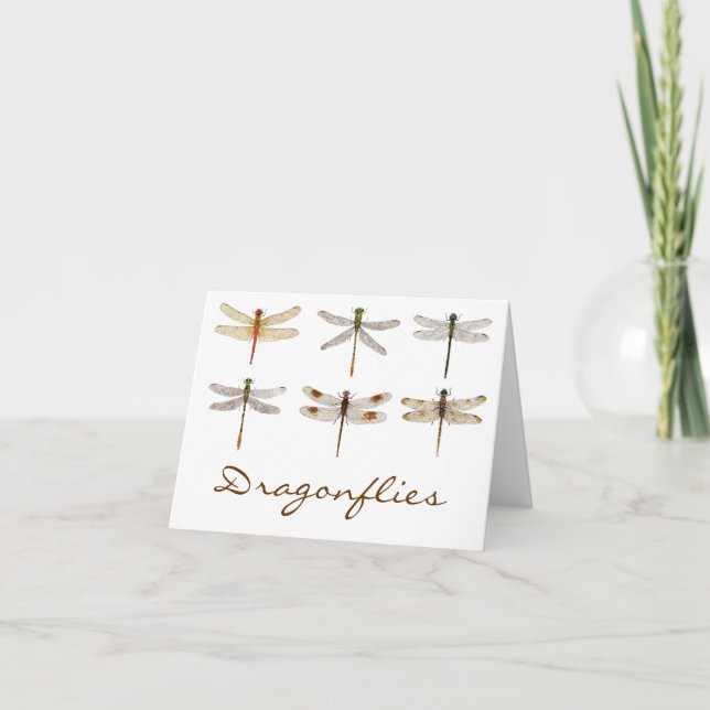 6 Orderly Dragonflies Card (Front)