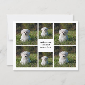 6 Photo Collage – White Grid Esthetic, Minimal Postcard