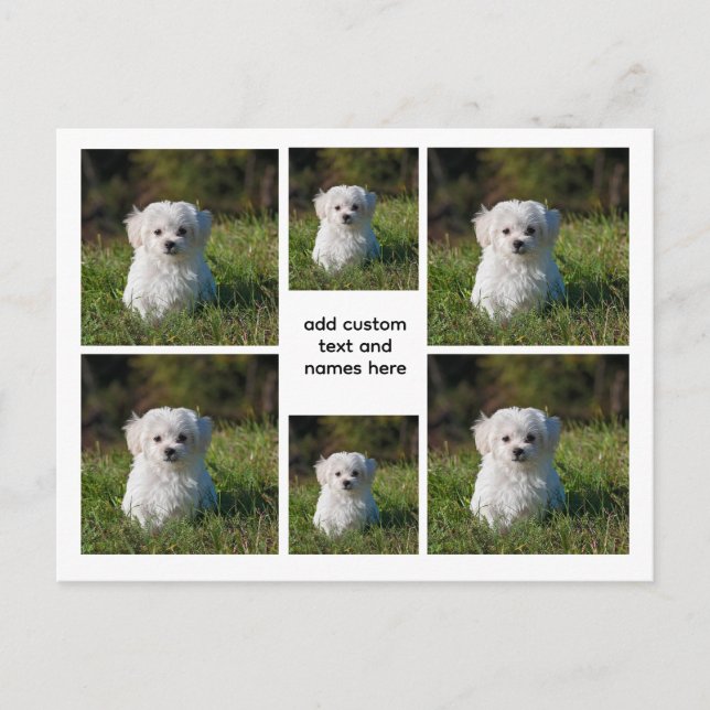 6 Photo Collage – White Grid Esthetic, Minimal Postcard (Front)