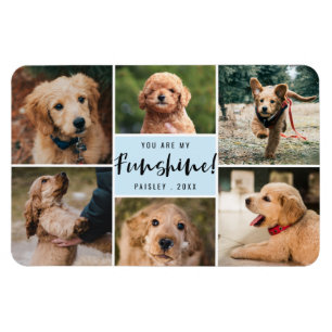 6 Photo Collage You Are My Funshine   Blue Pet Magnet
