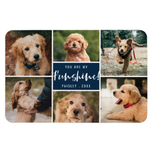 6 Photo Collage You Are My Funshine   Navy Pet Magnet