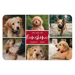 6 Photo Collage You Are My Funshine   Red Pet Magnet