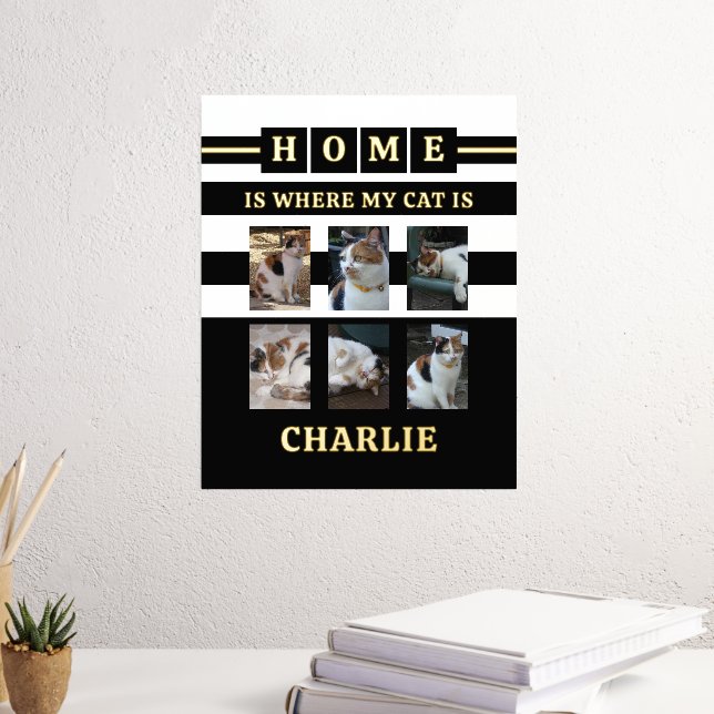 6 photos name animal lover cats black white foil prints (In Situ (Desk 3))