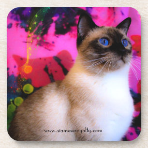 6 Siamese Hard Plastic coasters with cork back