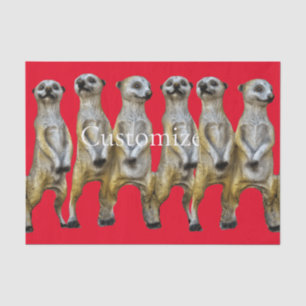 6 Standing Meerkats Thunder_Cove Tissue Paper