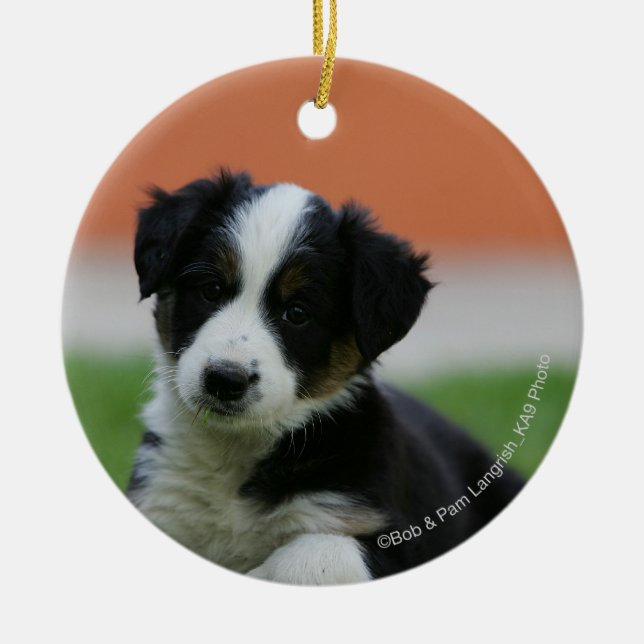 6 Week Old Border Collie Ceramic Tree Decoration (Front)