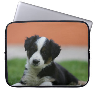 6 Week Old Border Collie Laptop Sleeve