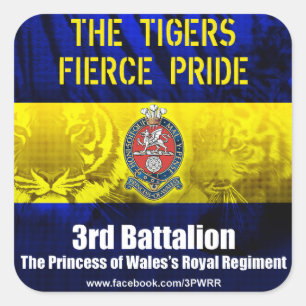 6 x 3PWRR Square Stickers